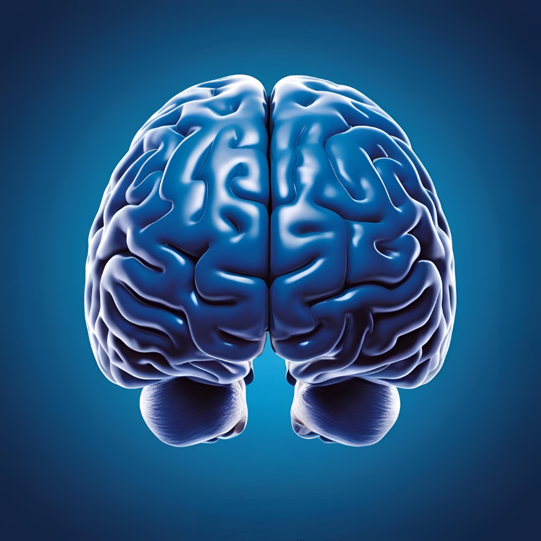 Neurovascular