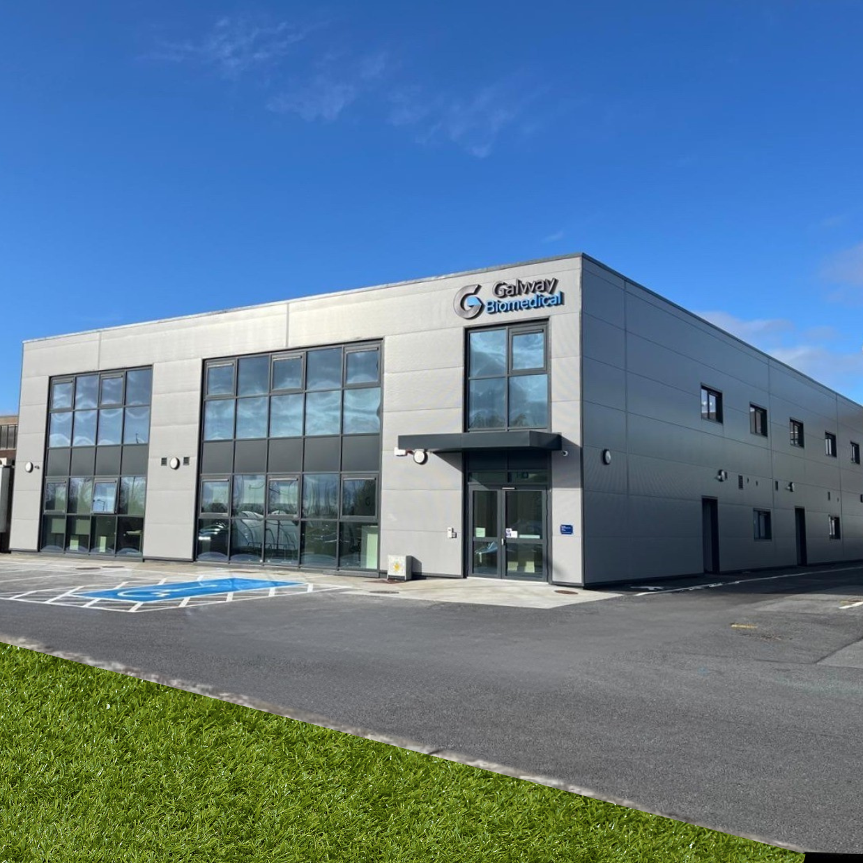 Untitled design (63)