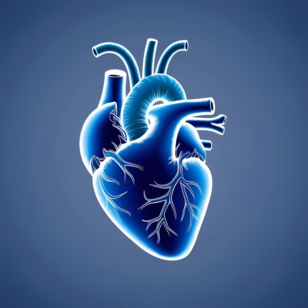 Structural Heart